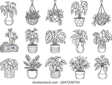 Elegant Line Art Collection of Potted Plants and Hanging Baskets A Botanical Ensemble for Home Decor and Nature Enthusiasts