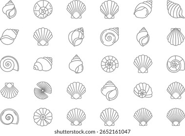 Elegant Line Art Depiction of Seashells A Variety of Shapes and Textures in a Minimalist Style, Great for Backgrounds