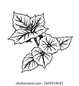 Elegant Line Art Drawing Of Lush Green Leaves And Flowers
