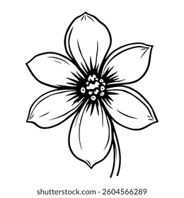 Elegant Line Art Drawing Of A Single Blossom Flower