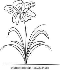 Elegant line art drawing of a single flower with leaves.