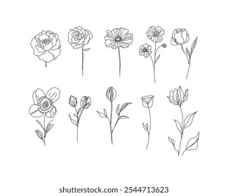 Elegant Line Art Flower Collection: A Set of Graceful Hand-Drawn Floral Illustrations Showcasing Various Blooms and Buds, Perfect for Enhancing Your Creative Projects with a Touch of Nature