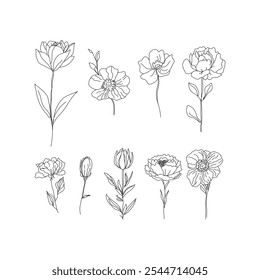 Elegant Line Art Flower Collection: A Set of Graceful Hand-Drawn Floral Illustrations Showcasing a Variety of Blooms, Perfect for Elevating Your Creative Projects with a Touch of Nature