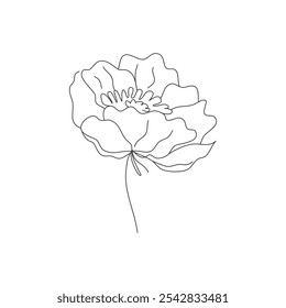 Elegant Line Art Flower: A Delicate Hand-Drawn Illustration of a Blooming Flower with Graceful Petals and Intricate Details, Ideal for Minimalist Decor and Botanical Art Projects