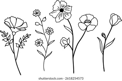 Elegant Line Art Flowers Botanical Illustration Minimalist Floral Design Elements Collection