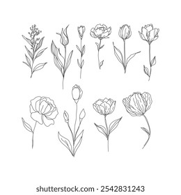 Elegant Line Art Flowers Collection: A Beautiful Array of Hand-Drawn Floral Illustrations, Perfect for Adding a Touch of Grace and Charm to Your Design Projects