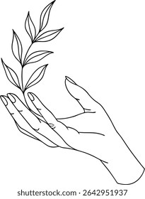 Elegant line art of hand gently holding leafy branch, symbolizing growth, care, and nature. Perfect for botanical tattoo design, wellness branding, and minimalist art prints.