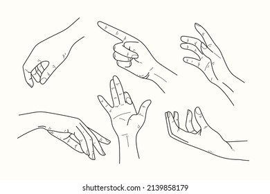 elegant line art hand illustration vector