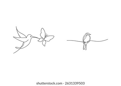 Elegant line art illustration featuring a hummingbird butterfly interaction and a perched bird