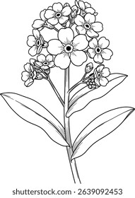 Elegant line art illustration of a forget-me-not flower. Perfect for invitations, stationery, tattoos, or coloring pages. 