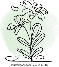 Elegant line art illustration of lily flowers with a soft green watercolor background.