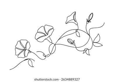 Elegante ilustração da arte da linha de flores da glória da manhã florescendo em preto e branco