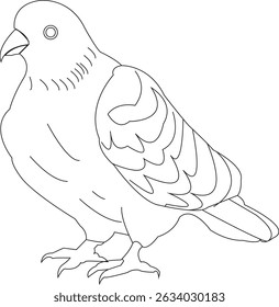 "Elegant line art illustration of a pigeon in EPS format. Clean, scalable vector ideal for logos, branding, tattoos, and decorative design projects."