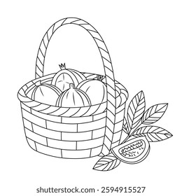 Elegant line art illustration of pomegranate fruits arranged in a woven basket. Perfect for branding, packaging, prints, and botanical-themed projects. Ideal for organic food, vintage, and minimalist.