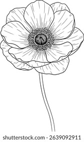 Elegant line art illustration of a single anemone flower, perfect for wedding invitations, botanical designs,