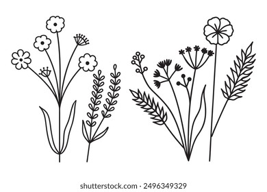Elegant Line Art Illustrations of Grassland Wildflowers.