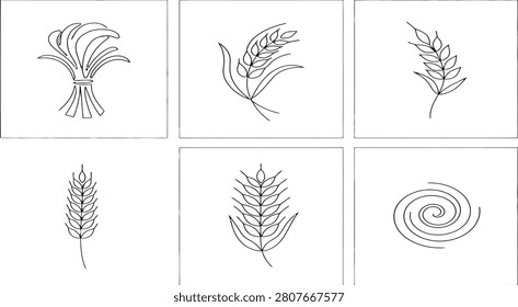 Elegant line art illustrations showcase different forms of wheat and a minimalist spiral pattern