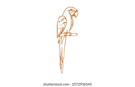 Elegant line art of a parrot perched on a branch, drawn in orange