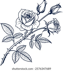 Elegant line art of rose flowers and leaves, perfect for digital and print designs