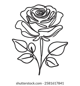 Elegant line art rose illustration set and white background