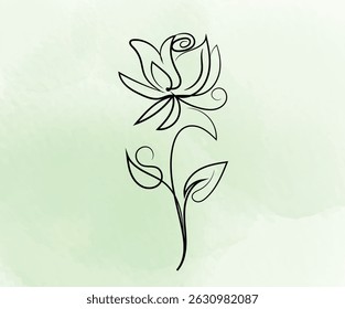 Elegant line art rose on a soft green watercolor background.