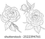 Elegant line art roses. Flower bouquets. Trendy floral illustration of  branches, leaves, flowers. Vector elements for logo, invitation cards, save the date,  tattoo.