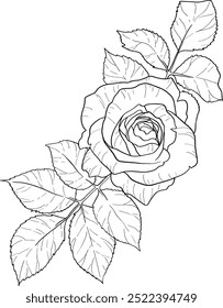 Elegant line art roses. Flower bouquets. Trendy floral illustration of  branches, leaves, flowers. Vector elements for logo, invitation cards, save the date,  tattoo.