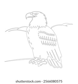 Elegant line drawing of a bald eagle showcasing its iconic features. Perfect for patriotic designs, wildlife logos, and nature-inspired artwork