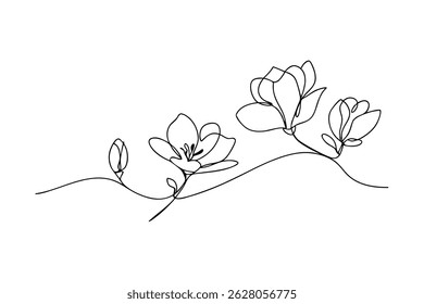 Elegant line drawing illustration of magnolia flowers in various stages of bloom