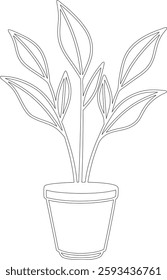 Elegant Line Drawing of Indoor Plant