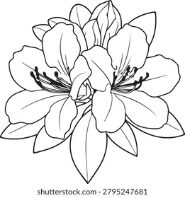 Elegant line drawing of a stylized flower with intricate petals, perfect for artistic and decorative projects.