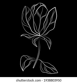 Elegant line flower, vector art illustration.