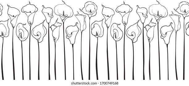 Elegant line pattern with calla flowers, design elements for invitations, cards, print, gift wrap