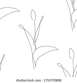 Elegante с línea continua sin fisuras con flores de tulipán, elementos de diseño. Patrón floral para invitaciones, tarjetas, impresiones, envolturas de regalo, manufactura, textiles, tejidos, papeles pintados