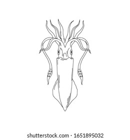 Elegant linear illustration of squid isolated on white background. Underwater creature hand drawn realistic vector sketch drawing. Sea food logo template.