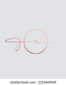 An elegant, luxurious, natural with a beautiful signature touch letter type N vector logo template