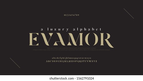 Fonte e número de letras do alfabeto de luxo elegante. Desenhos de moda minimalistas com letras clássicas. Fontes de tipografia maiúsculas e minúsculas regulares. ilustração vetorial