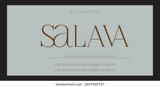 Elegant luxury curvy serif alphabet display font vector