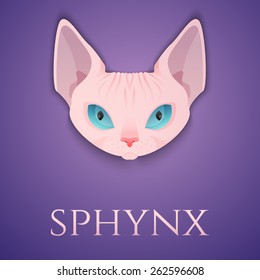 Elegant luxury Sphynx cat face icon. Vector illustration