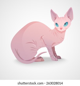 Elegant luxury Sphynx cat sitting. Vector illustration