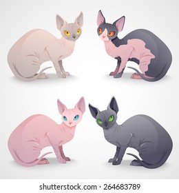 Elegant luxury Sphynx cats sitting set. Vector illustration