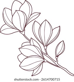 Elegant Magnolia Flower Line Art Botanical Illustration Floral Outline Drawing