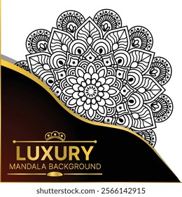 Elegant Mandala Background Vector File