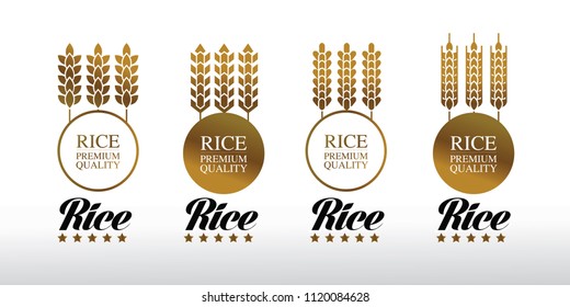 Elegant master Gold Rice Vector