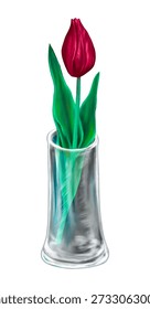 Elegante flor de tulipán rojo minimalista con hojas verdes dispuestas en un jarrón de vidrio transparente aislado sobre fondo blanco concepto de primavera de naturaleza muerta floral mínima
