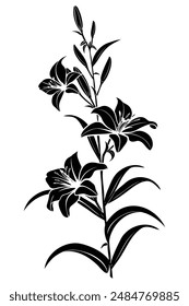 Elegant and minimalist design of a single lily blooming flower with delicate petals and leaves captured in silhouette