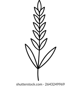 Ilustração elegante e minimalista desenhada à mão mostrando trigo ou cevada. Este vetor impressionante apresenta um único tronco de grão, renderizado em um estilo de arte de linha preta limpo contra um crocante