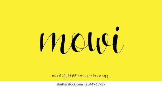 Elegant Minimalist Handwritten Alphabet Font Collection – Classic and Modern Script