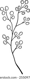 An Elegant Minimalist Illustration Featuring a Beautiful Branch with Berries Design