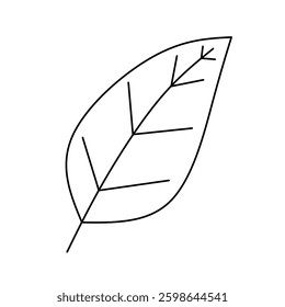 Elegant Minimalist Leaf Vector Illustration Design